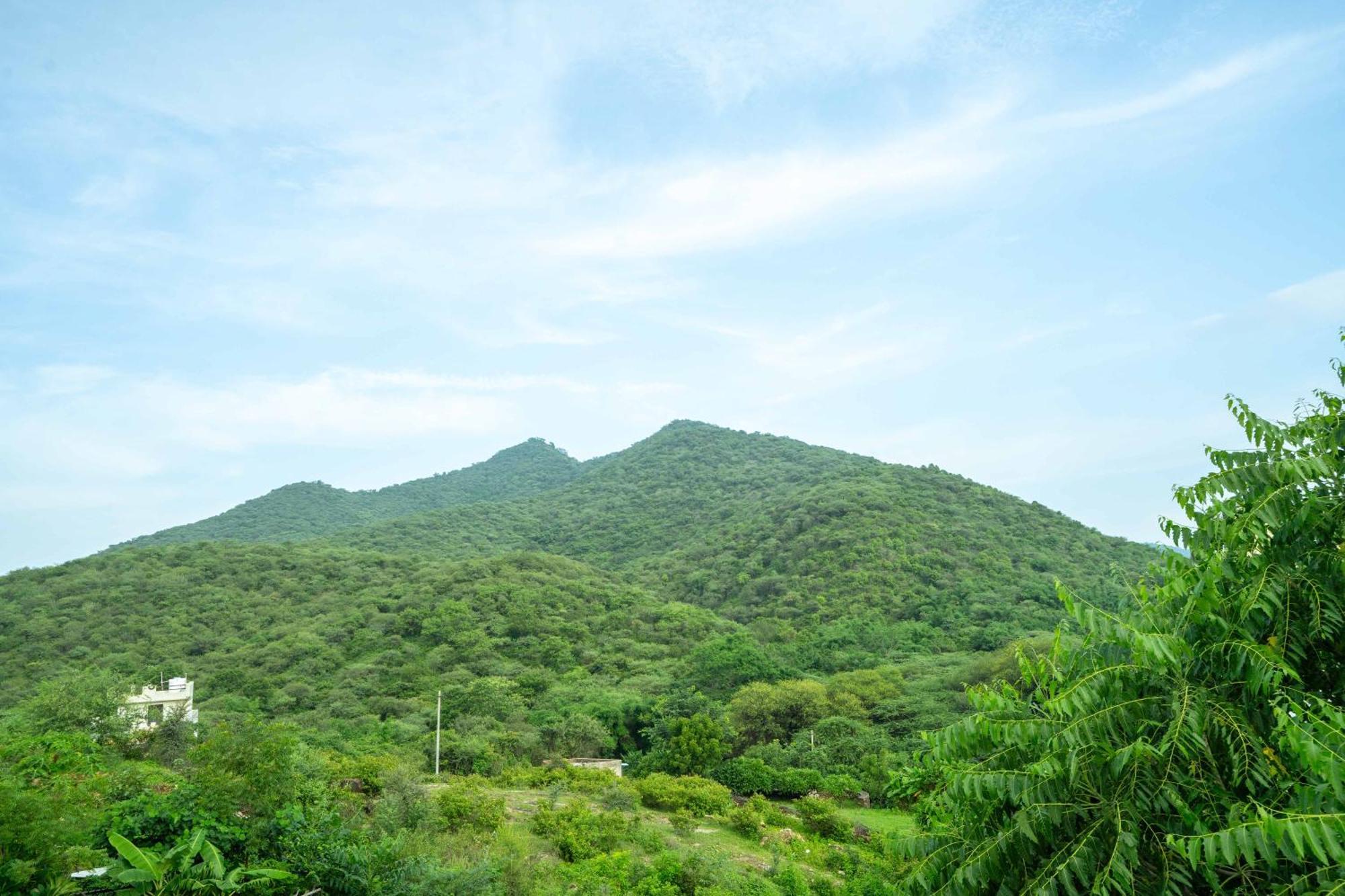 Treebo The Aravali Getaway Hotel Udaipur Kültér fotó